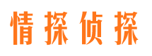 顺城市调查公司